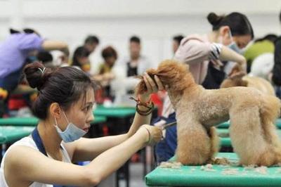 中國(guó)寵物經(jīng)濟(jì)強(qiáng)勢(shì)爆發(fā) 方博士寵物DR引領(lǐng)寵物醫(yī)療與寵物服務(wù)新生態(tài)