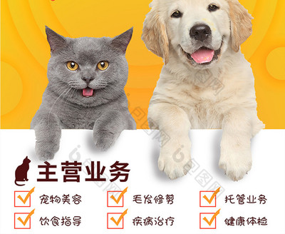 黃色可愛(ài)寵物店鋪海報(bào)