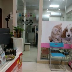 洪星1998寵物店詳細(xì)信息 電話、地址、價(jià)格、營業(yè)時(shí)間及圖片