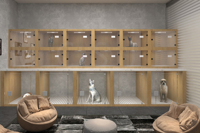 寵物店引領(lǐng)專業(yè)養(yǎng)護(hù)新潮流——全方位寵物服務(wù)的創(chuàng)新與未來(lái)