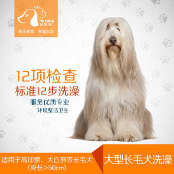 寵物產(chǎn)業(yè)鏈的興起 從食品到服務(wù)的全面覆蓋