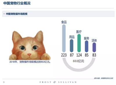 高收入、高學(xué)歷的單身人群，養(yǎng)寵前請(qǐng)先算清這筆賬