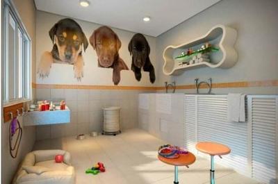 開一家寵物店需要多少錢？——寵老板為您詳細(xì)解析